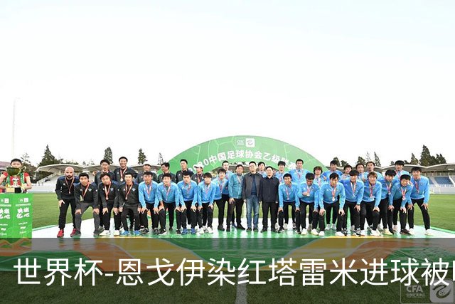 世界杯-恩戈伊染红塔雷米进球被吹 10人比利时0-0伊朗
